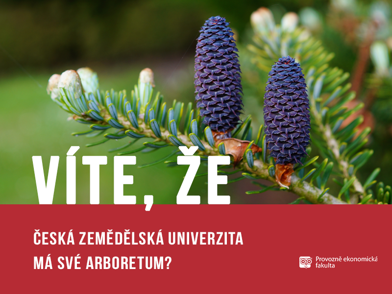 Česká zemědělská univerzita má své arboretum v Kostelci nad Černými Lesy; autor obrázku Patrik Hácha