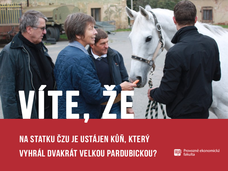 Na České zemědělské univerzitě je ustájen vítězný kůň Velké Pardubické - Sixteen; autor obrázku Patrik Hácha