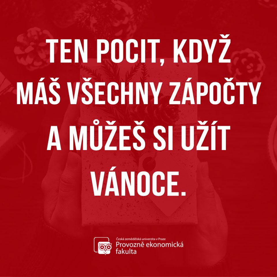 užít si vánoce ten pocit