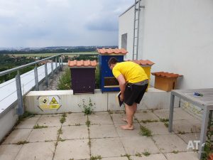 Včelí úly na střeše ČZU a Richard Hartman (FAPPZ)