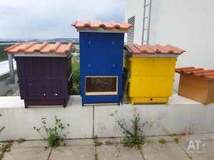 Včelí úly na střeše ČZU